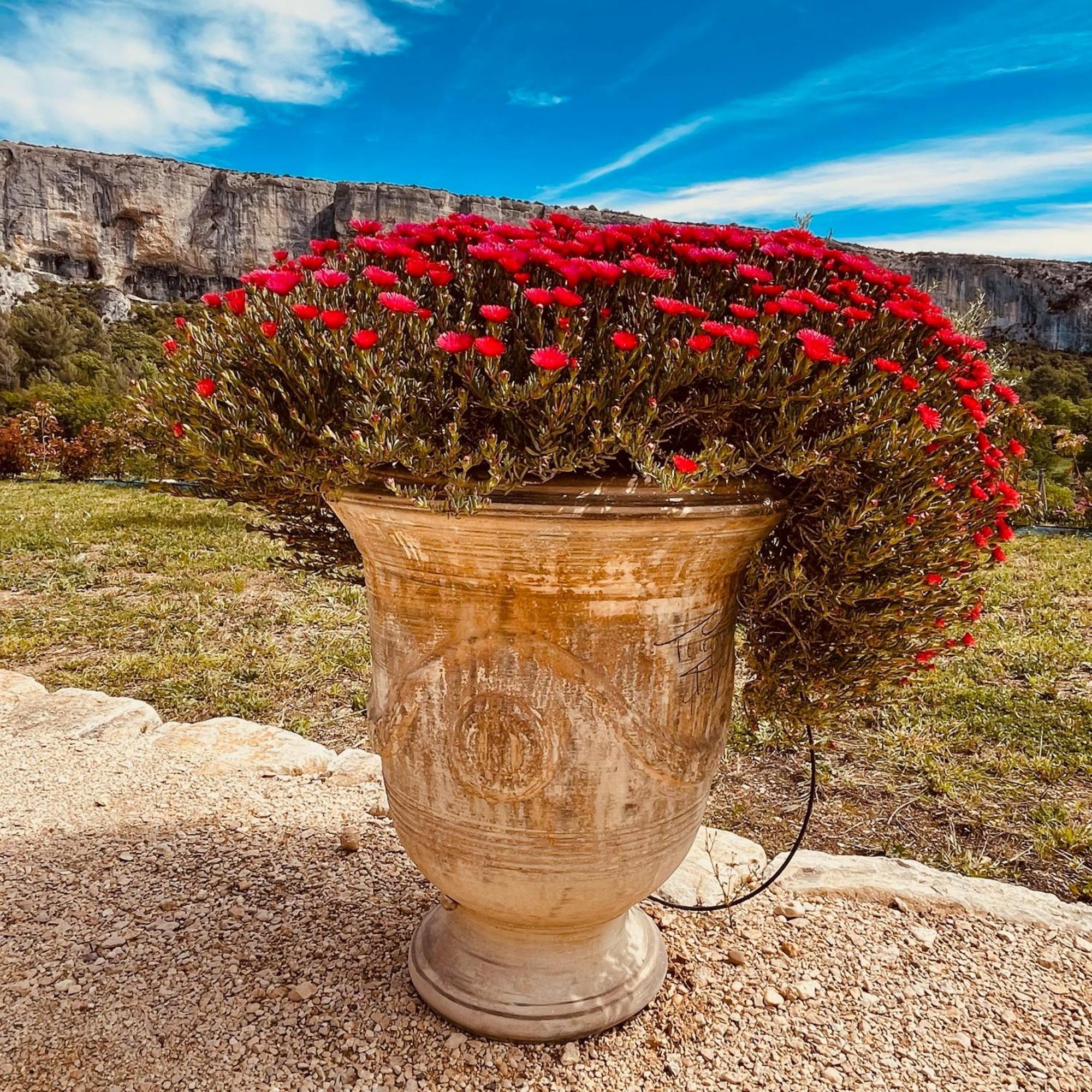 Gite La Madeleine Du Luberon. Lioux Εξωτερικό φωτογραφία